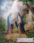 31 Mai - Vizita Sf. Fec. Maria 