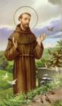 Novena la Sf. Francisc de Assisi-II